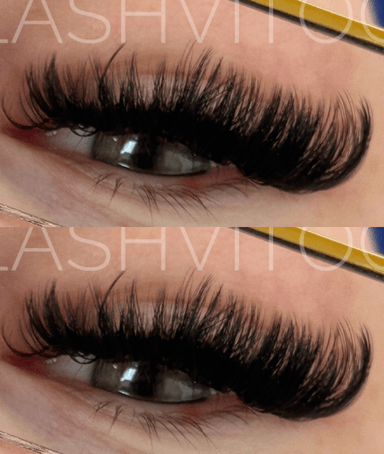 Lashvitoo