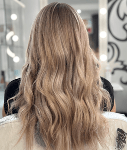 salon BIZE