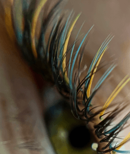 POSH_LASHES_RIGA