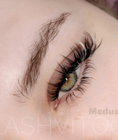 Lashvitoo