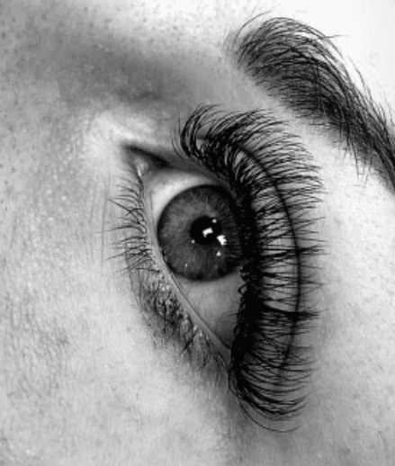 Beautyeyelashes_bysp