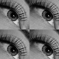 Брови и ресницы, Rīga