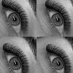 Брови и ресницы, Rīga