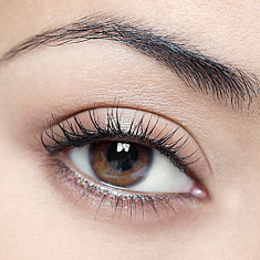 Skropstas un uzacis, Rīga