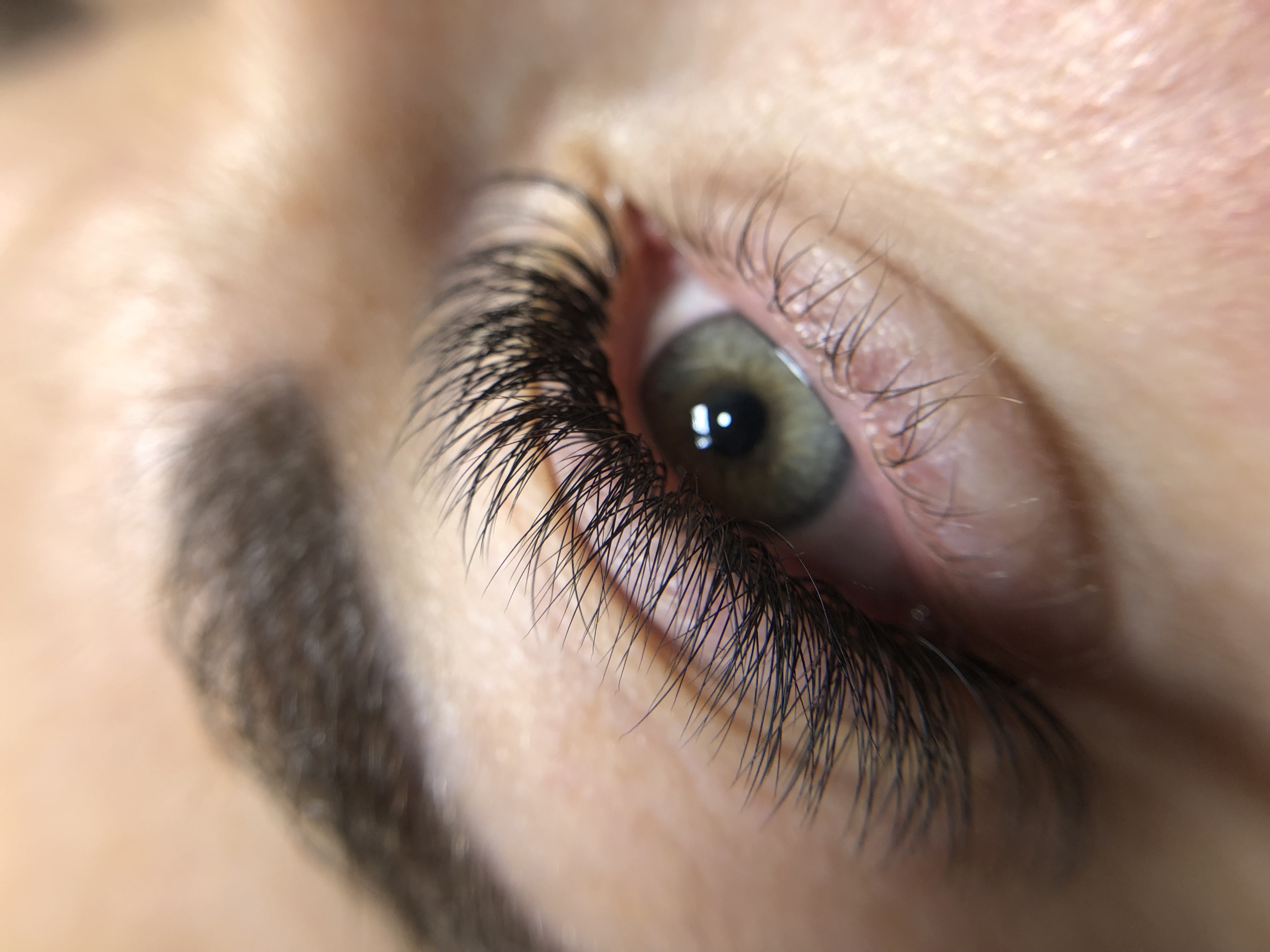 Brows and Lashes Madona Mela Lashes