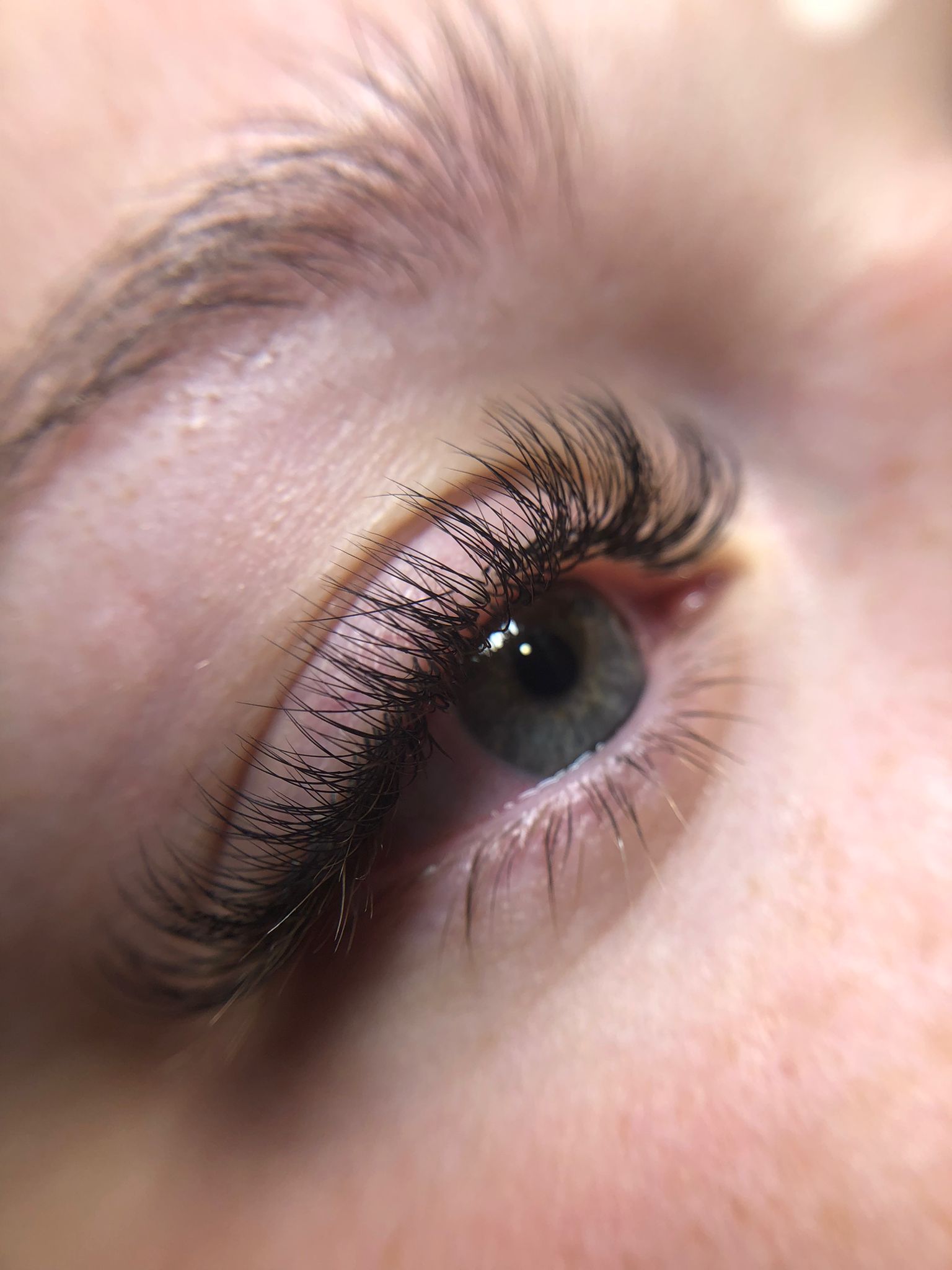 Brows and Lashes Madona Mela Lashes