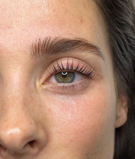 Brows and Lashes
