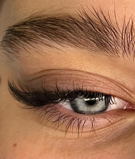 Brows and Lashes
