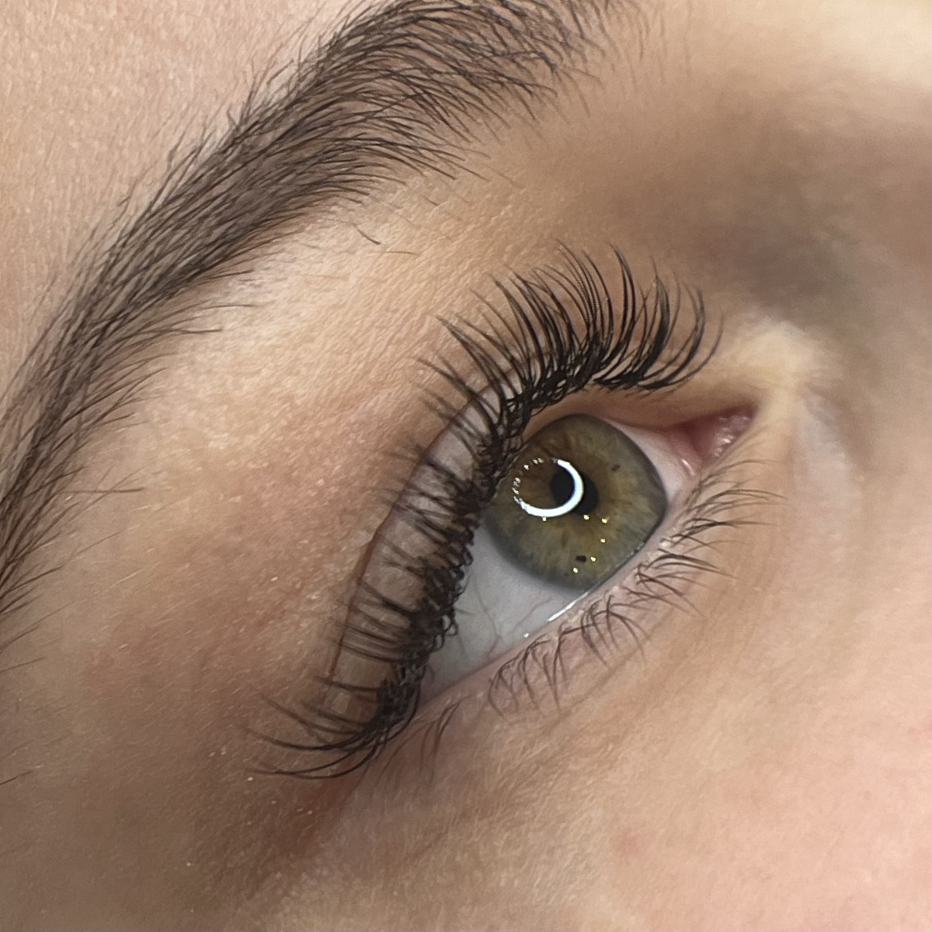 Brows and Lashes Rīga KOKOLASH
