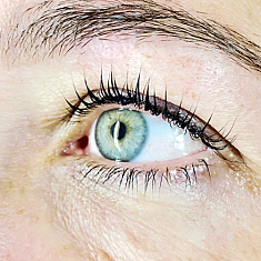 Skropstas un uzacis, Rīga