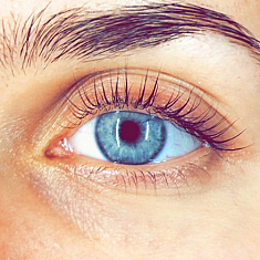 Skropstas un uzacis, Rīga