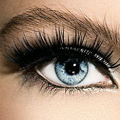 Skropstas un uzacis, Ogre