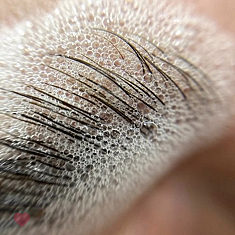 Lashes & brows, Ventspils