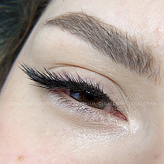 Брови и ресницы, Rīga