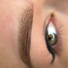 Lashes & brows, Rīga