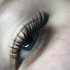 Skropstas un uzacis, Rīga