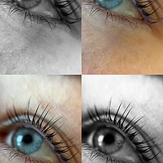 Skropstas un uzacis, Rīga