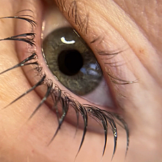 Skropstas un uzacis, Rīga