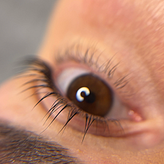 Брови и ресницы, Rīga