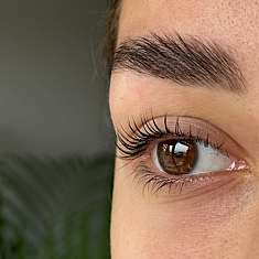 Skropstas un uzacis, Rīga