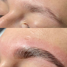 Брови и ресницы, Talsi