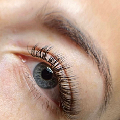 Брови и ресницы, Talsi