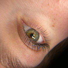 Skropstas un uzacis, Jelgava