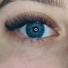 Skropstas un uzacis, Rīga