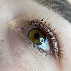 Skropstas un uzacis, Rīga