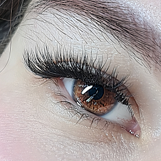 Skropstas un uzacis, Rīga