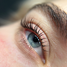 Skropstas un uzacis, Rīga