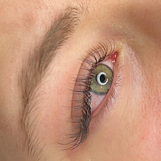 Skropstas un uzacis, Rīga