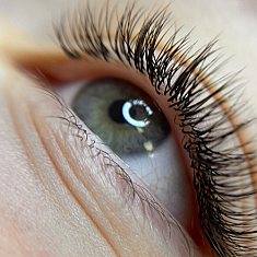 Skropstas un uzacis, Rīga