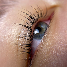 Skropstas un uzacis, Rīga