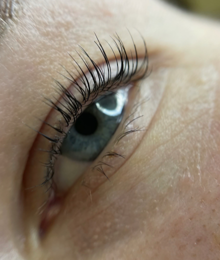Lashes & brows, Rīga
