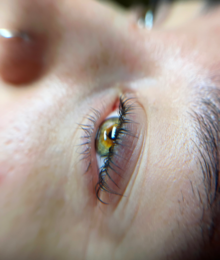 Skropstas un uzacis, Rīga