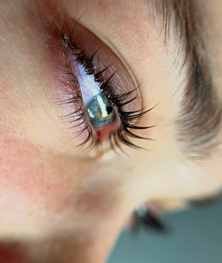 Skropstas un uzacis, Rīga