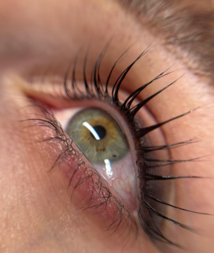 Брови и ресницы, Jelgava