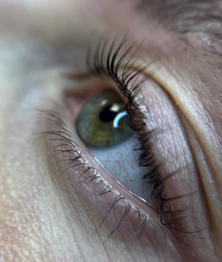 Skropstas un uzacis, Tukums